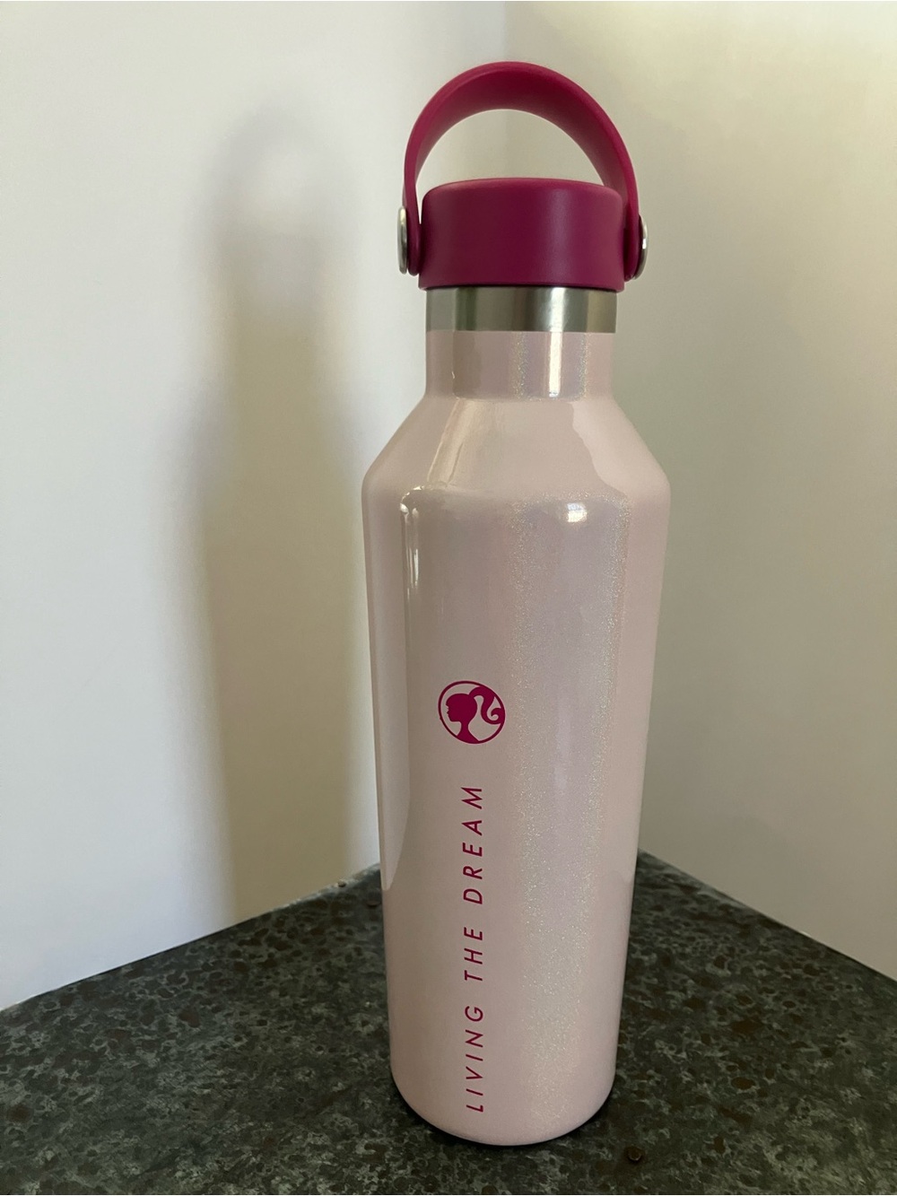 Barbie - Living the Dream Water Bottle 16 oz